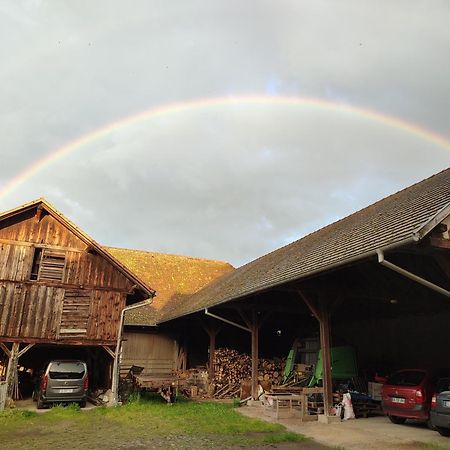 Chez Marguerite Gîtes à la ferme Horbourg-Wihr Exterior foto