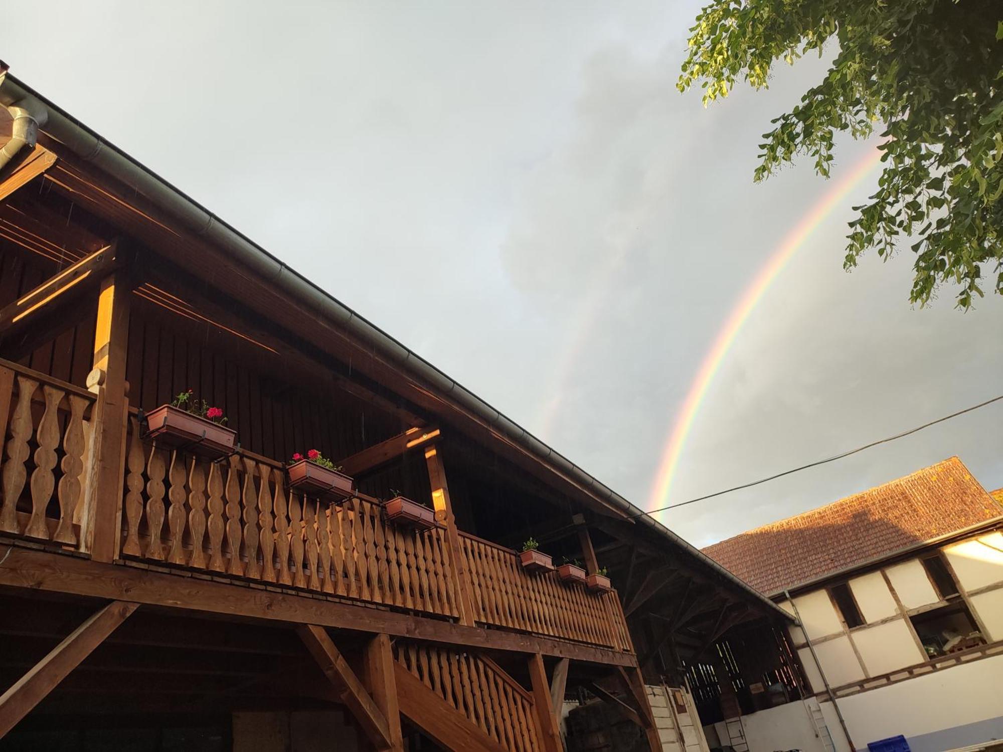 Chez Marguerite Gîtes à la ferme Horbourg-Wihr Exterior foto