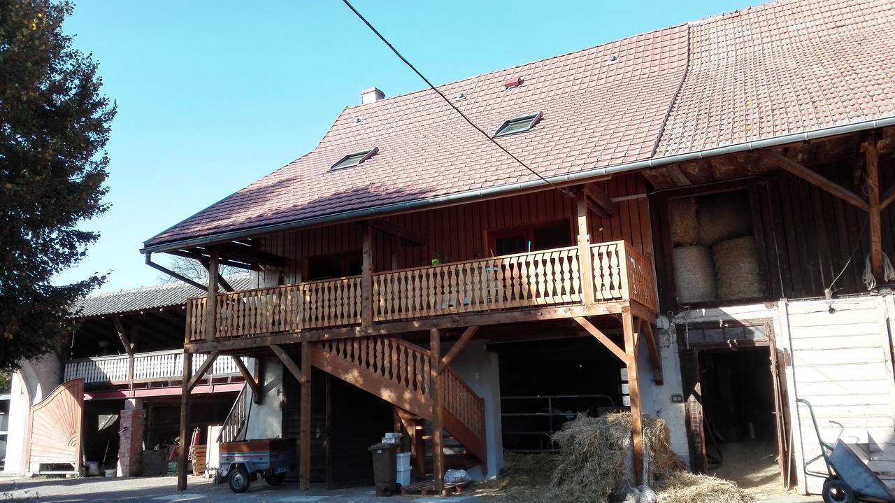 Chez Marguerite Gîtes à la ferme Horbourg-Wihr Exterior foto